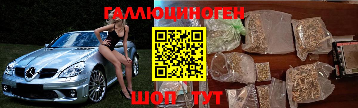 Галлюциногенные грибы прущие грибы Баксан