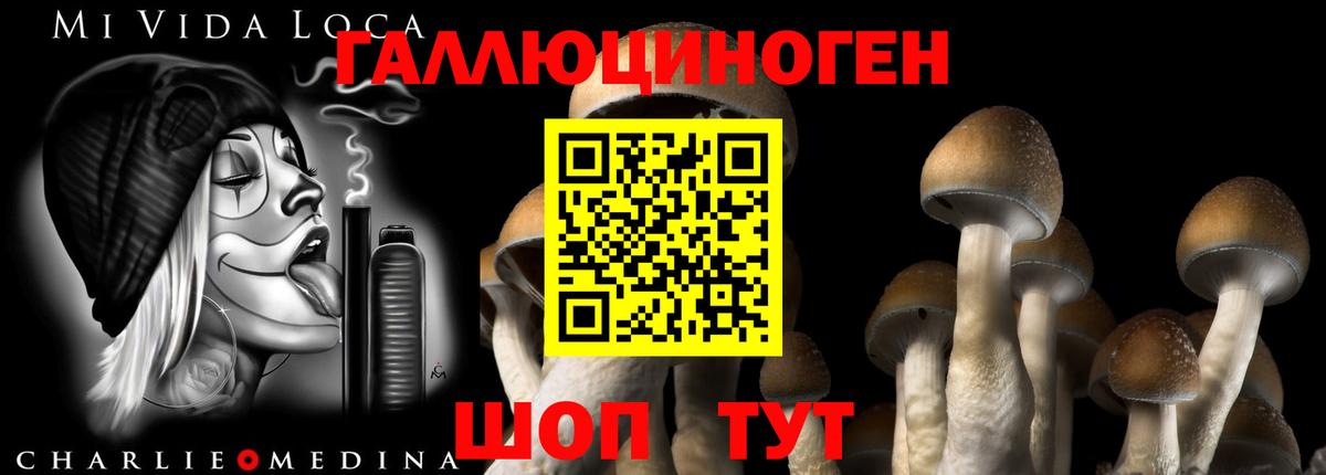 Галлюциногенные грибы ЛСД  Псилоцибиновые грибы мицелий  Баксан  цена   Вход с VPN 